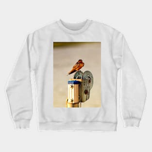Red-Breasted Swallow Crewneck Sweatshirt